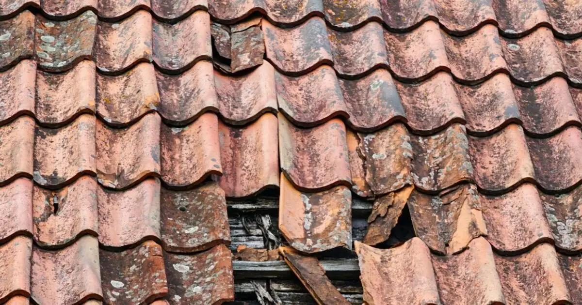 roof repair in Chiswick